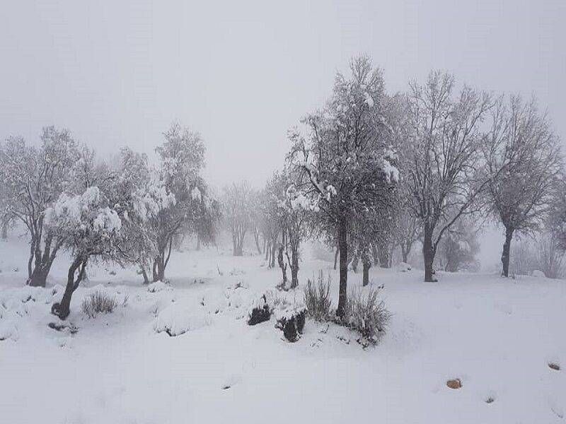 پیش بینی بارش برف در ۱۰ استان