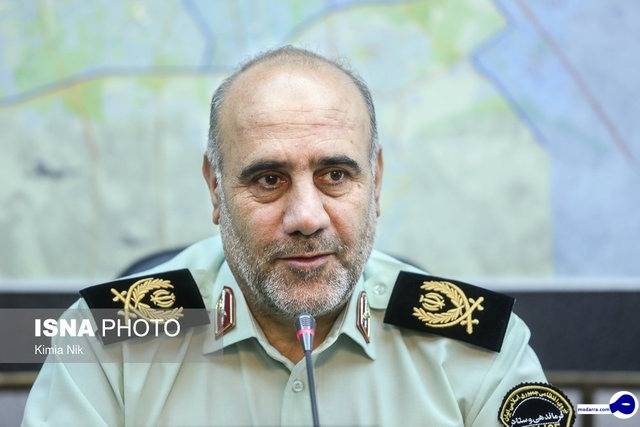 رئیس پلیس تهران: با هر گونه حیوان آزاری برخورد می کنیم
