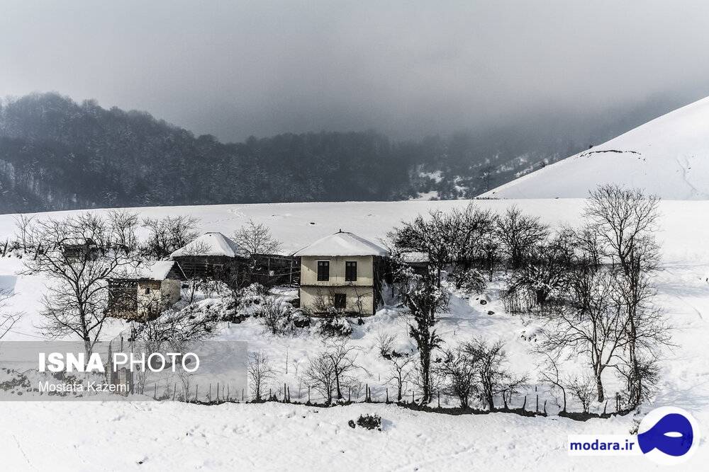 طبیعت زیبای زمستانی ساری