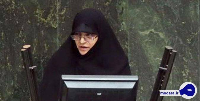 زهره سادات لاجوردی: رفع موانع فرزندآوری در دستور کار مجلس است