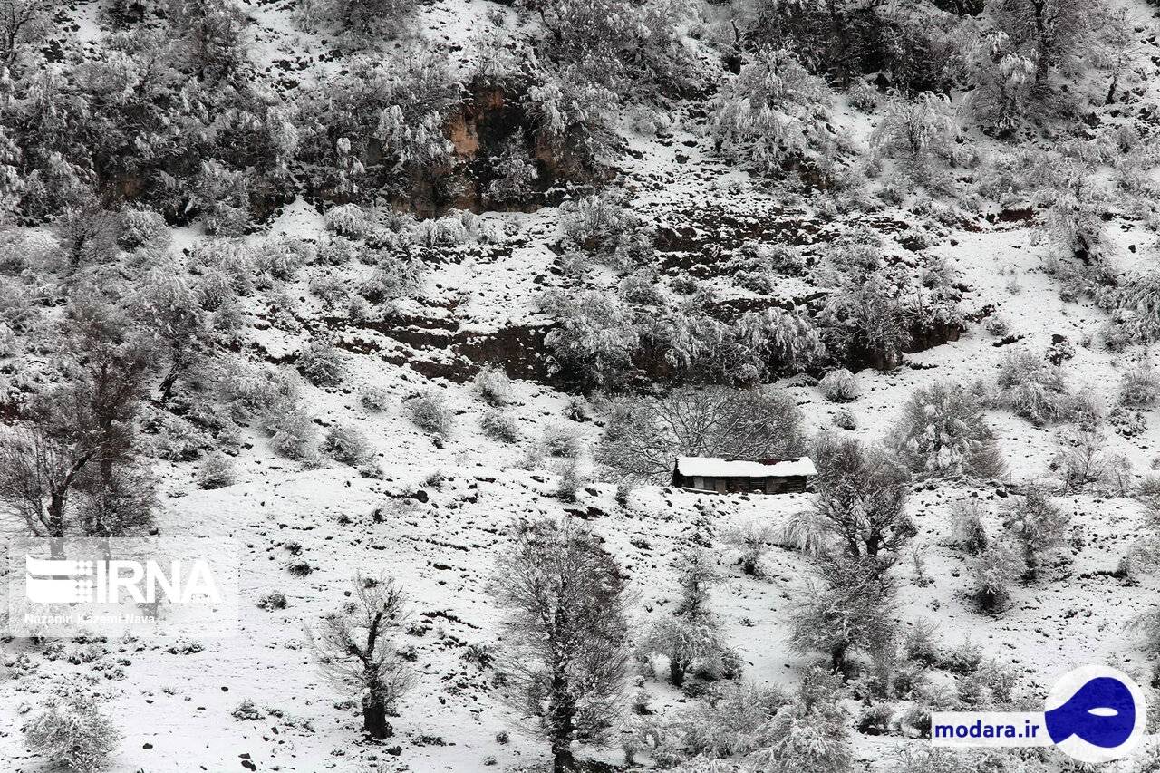 تصاویری زیبا از بارش برف بهاری در جنگل های هیرکانی
