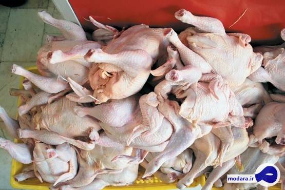 وزارت صمت وعده داد: قیمت مرغ تا هفته آینده متعادل می‌ شود