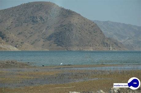 سدهای تهران در چه وضعیتی هستند؟
