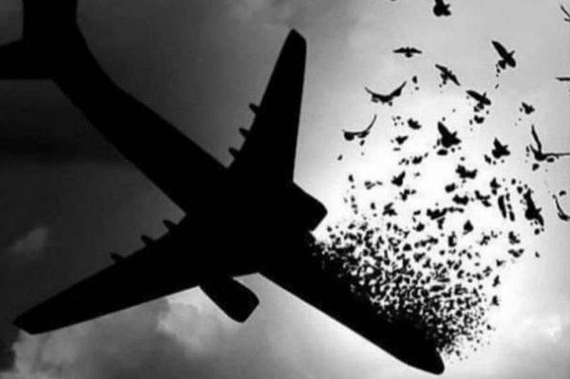 متهمان پرونده هواپیمای اوکراینی ۱۰ نفرند