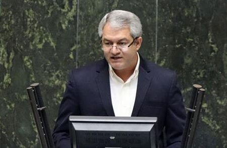 نماینده مجلس: طرح «عدم کفایت» رئیسی را کلید زدم/در حال جمع آوری امضا هستم/باید الان، جلوی ضرر را  بگیریم