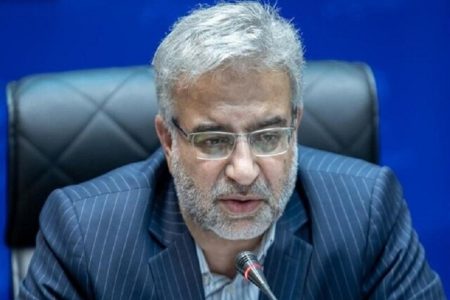 نماینده مجلس: ادامه سرپرستی زاهدی‌وفا بر وزارت کار اشکالی ندارد