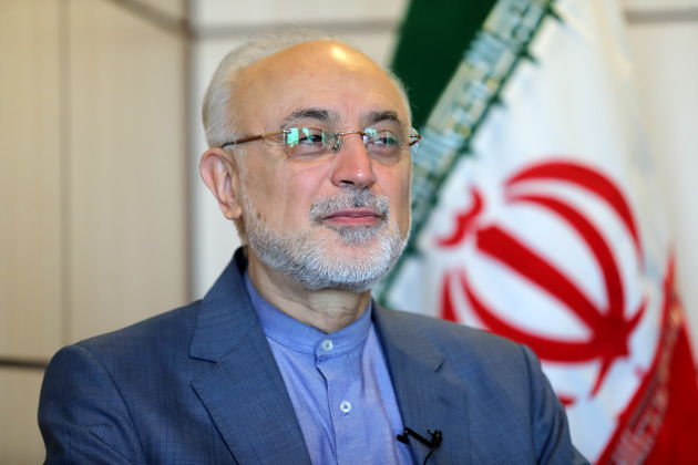 علی‌اکبر صالحی: حتی آقای روحانی هم از مذاکره ایران و آمریکا خبر نداشت