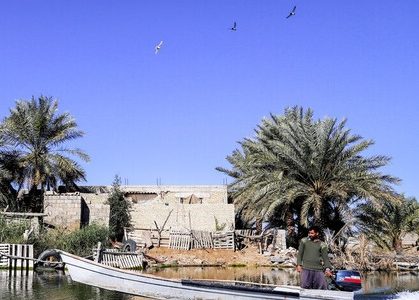 عملیات ساخت پتروپالایش در تالاب شادگان مجوز ندارد