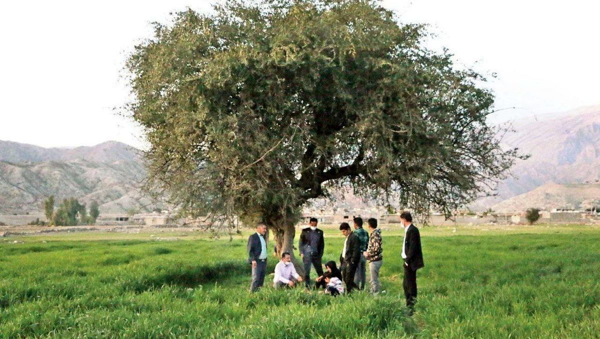 بورس آتش به جان «روستای مال‌ملا» انداخت