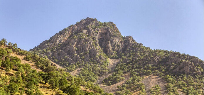 سرانه فضای سبز و جنگل در ایران، یک سوم متوسط جهانی است