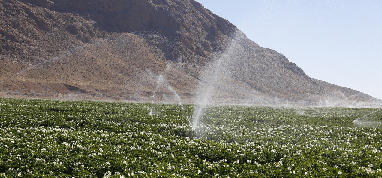 طرح‌های مهندسی در اصفهان هر ساله بیش از ۲۵ میلیون متر مکعب آب صرفه جویی دارد