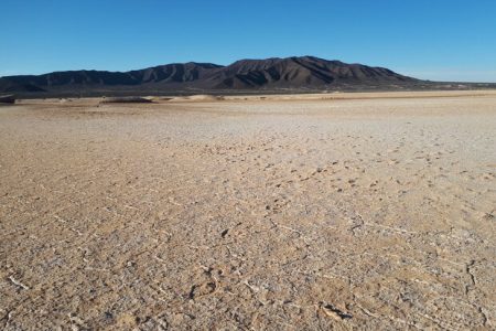 ستاد ملی احیای گاوخونی تشکیل می‌شود