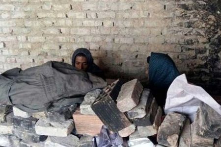رئیس انجمن مددکاری: افزایش قیمت مسکن، باعث شده برخی خانواده‌ها مجبور به زندگی در خیابان شوند