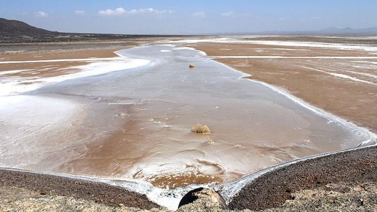 خسارت ۹ هزار میلیارد تومانی خشکی تالاب گاوخونی