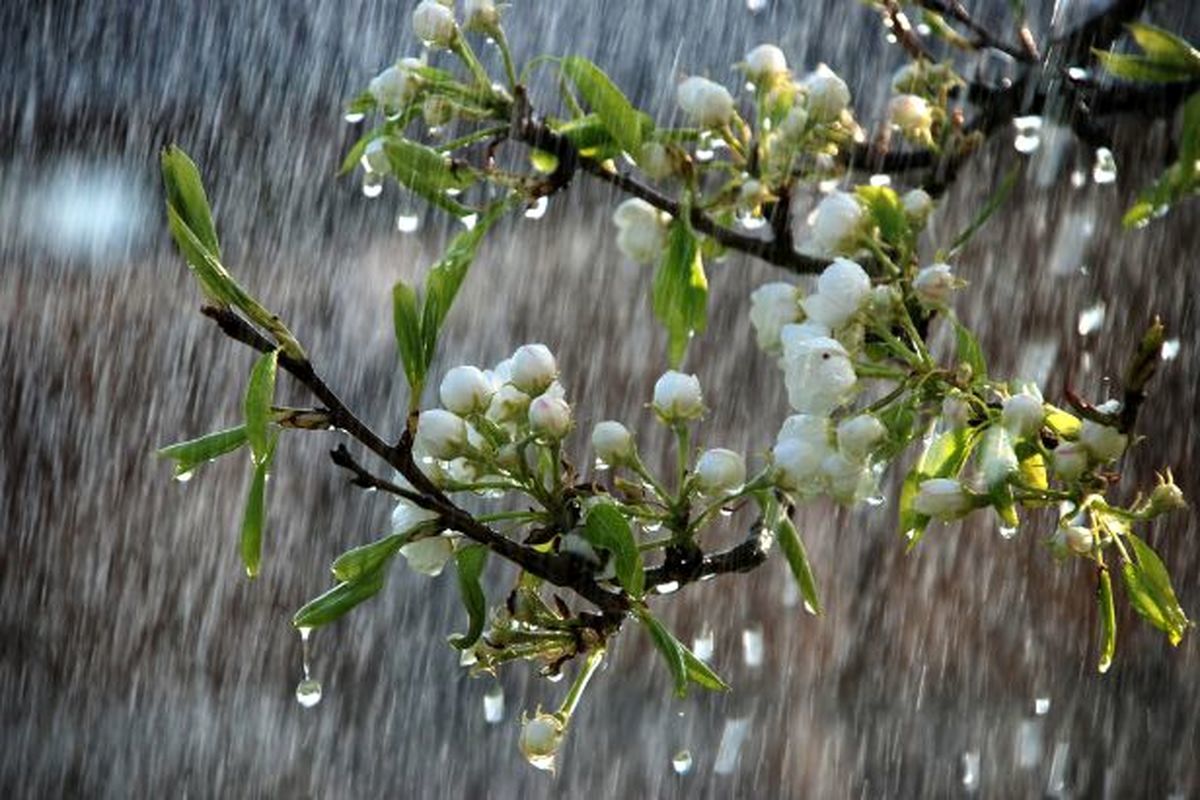 بارش باران امروز و فردا در سراسر کشور