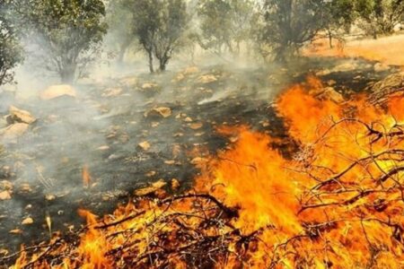 مراتع و جنگل‌های ۱۵ شهرستان اصفهان در معرض آتش سوزی قرار دارند