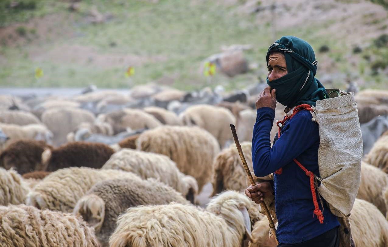 مدیریت بحران استان اصفهان خواستار رعایت تقویم کوچ بهاره عشایر شد