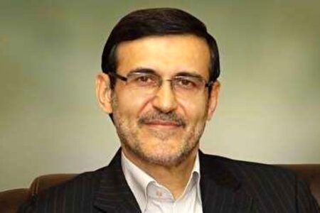 استاد حقوق و جزا: هیچ‌کس را بدون حکم دادگاه نمی‌توان از دریافت خدمات عمومی محروم کرد/ حتی ضابطان قضایی هم حق تحمیل هیچ مجازاتی را بدون حکم دادگاه ندارند چه رسد به مأموران مترو