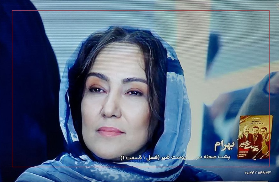 حذف تصویر پانته‌آ بهرام از پشت ‌صحنه سریال پوست شیر صحت ندارد / FILM