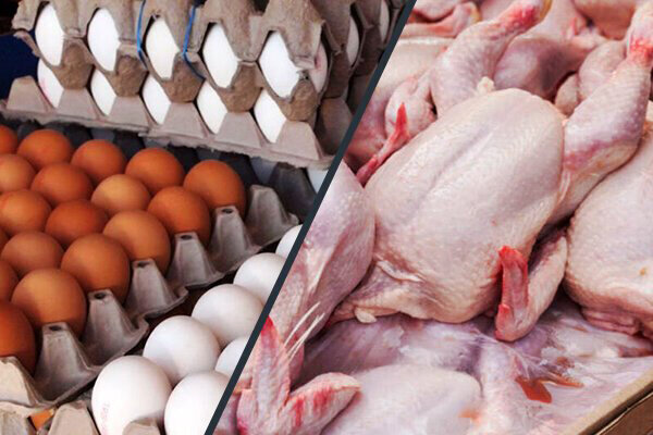 قیمت مرغ، گوشت سفید و تخم مرغ در بازار