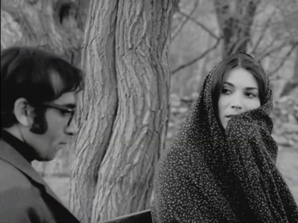 پیکر پروانه معصومی در قطعه هنرمندان دفن نمی‌شود