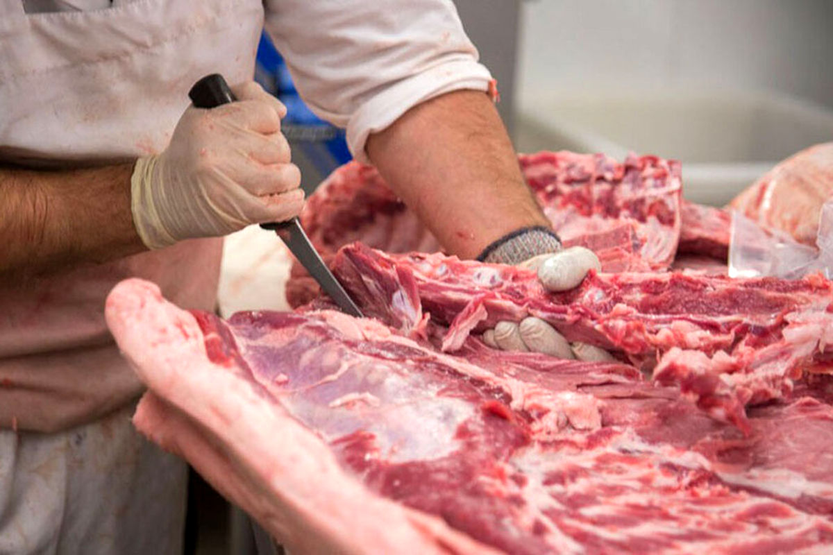 مصرف گوشت در ایران برای هر فرد ۴ الی ۵ کیلوگرم در سال است؛ استاندارد جهانی ۳۰ کیلو در سال است
