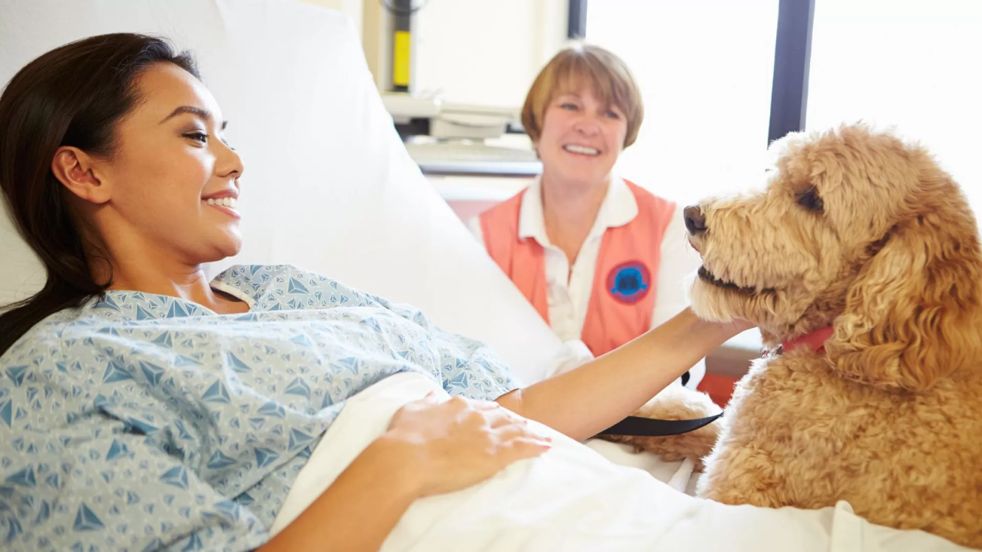 بیمارستانی در اسپانیا برای تقویت روحیه بیماران از سگ‌ها کمک می‌گیرد