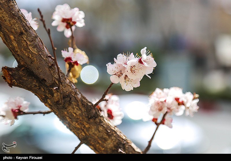 هوای تِهران فردا خنک‌ می‌شود