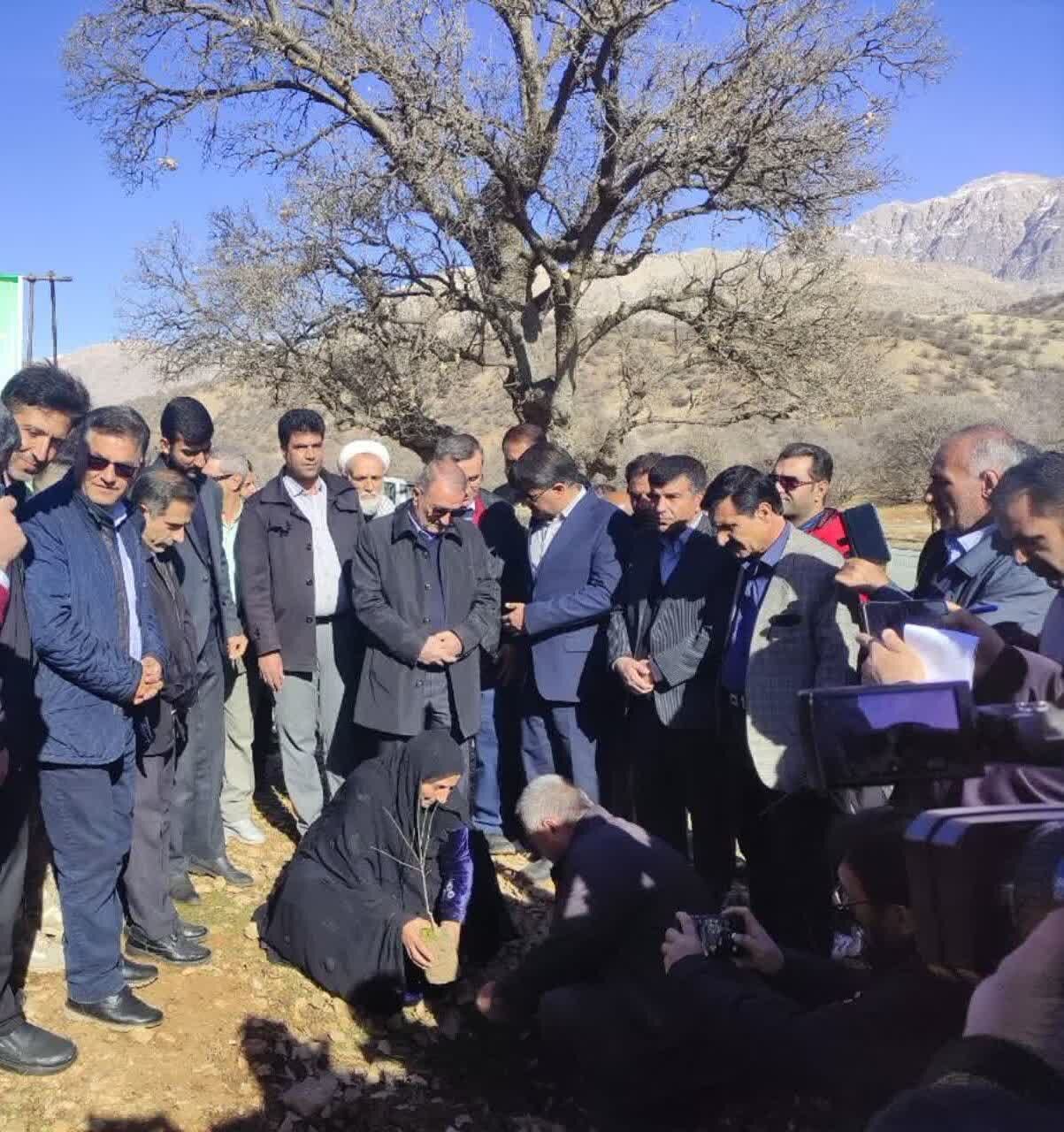 جنگل کاری۲۳ هکتاری در کهگیلویه و بویراحمد
