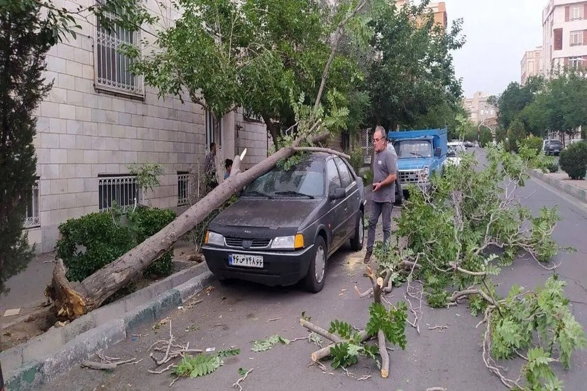 سه روز آماده‌باش برای طوفان در تهران / هشدار سازمان مدیریت بحران به شهروندان