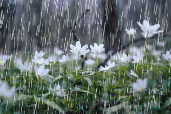 آغاز بارش‌های رگباری و افزایش ۴ درجه‌ای دما در اصفهان طی ۲۴ ساعت آینده