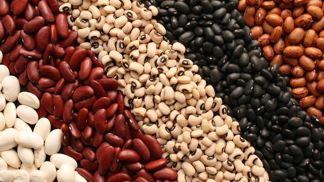 قیمت لوبیا در بازار به نیم میلیون رسیده و هم قیمت گوشت شده است