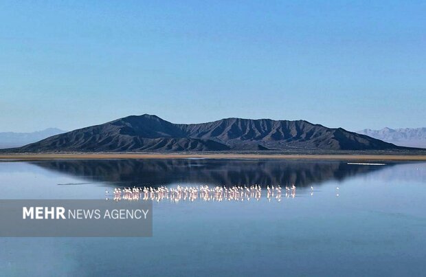 سند تالاب بین‌المللی گاوخونی صادر شد