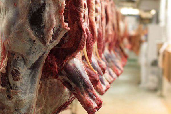 ثبات در بازار گوشت قرمز / ذخایر کافی برای محرم تأمین شده است