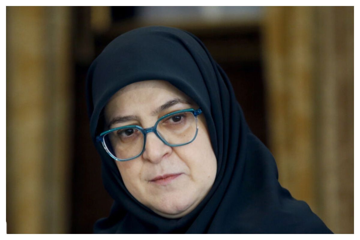 مهاجرانی: گفت‌وگو در خصوص مسائل هسته‌ای با شرایط پیچیده مواجه شده است