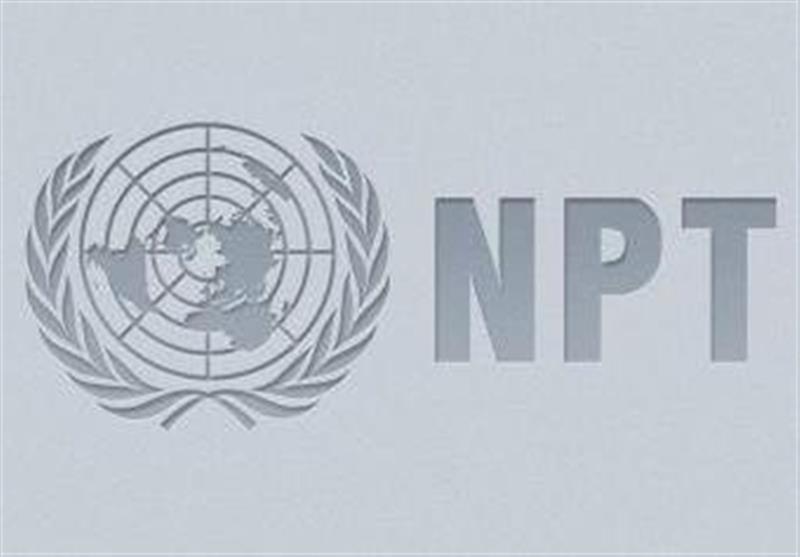 سخنگوی وزارت خارجه: خروج از NPT باید توسط نظام تصمیم‌گیری شود/ تا الان تصمیمی در مجلس در این خصوص اتخاذ نشده
