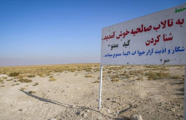 منشا اصلی گردوغبار تهران مشخص شد