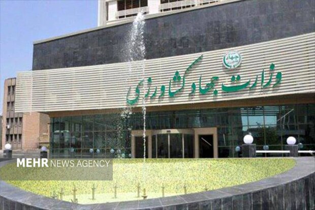 نماینده مجلس: اختصاص پاداش به مدیران وزارت جهاد در شرایطی که نظامیان ما پشت لانچرها شهید می شدند اقدامی توهین آمیز بود