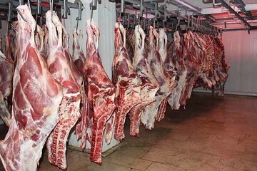 واردات گوشت گرم گوساله با نرخ مصوب ۵۹۸ هزار تومان از پاکستان وبرزیل