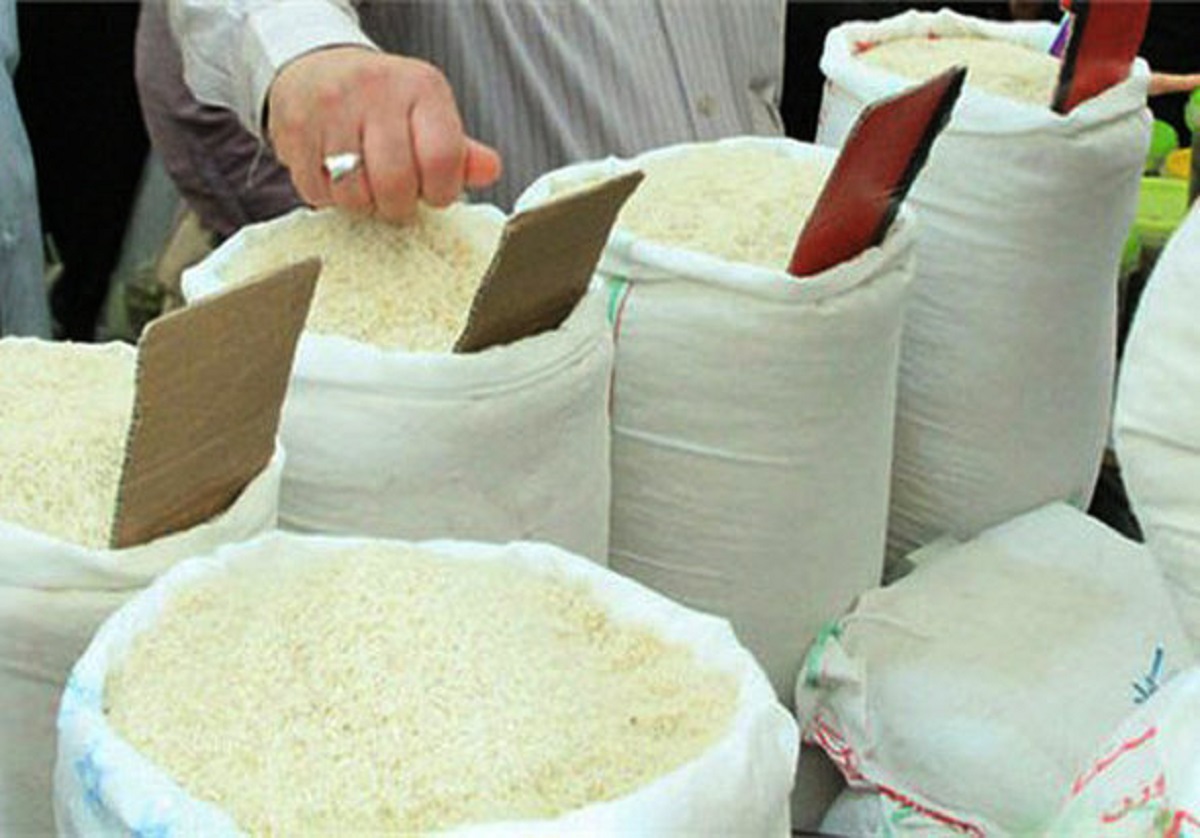 برنج گران می شود