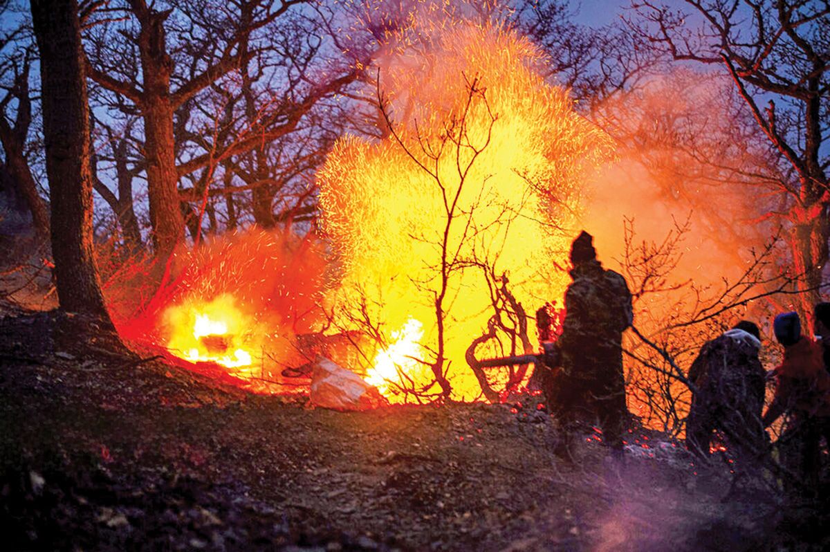 رئیس سازمان مدیریت بحران: عملیات اطفای آتش در جنگل الیت بسیار موفقیت آمیز بود / بیشتر درختان جوان الیت سالم هستند