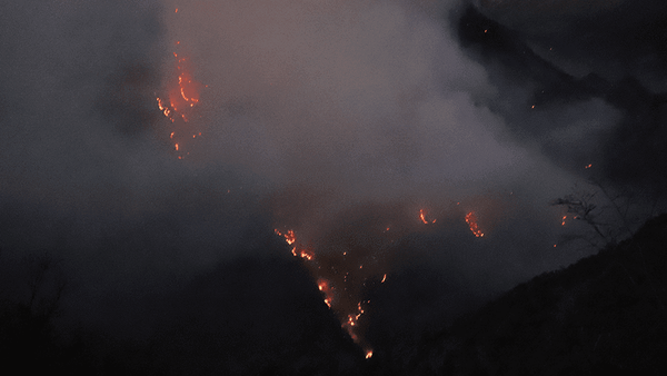 اطلاعیه قوه قضاییه درباره خبر جنجالی یک بازداشت