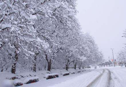 نخستین سامانه بارشی زمستانی در راه اصفهان؛ هواشناسی هشدار صادر کرد
