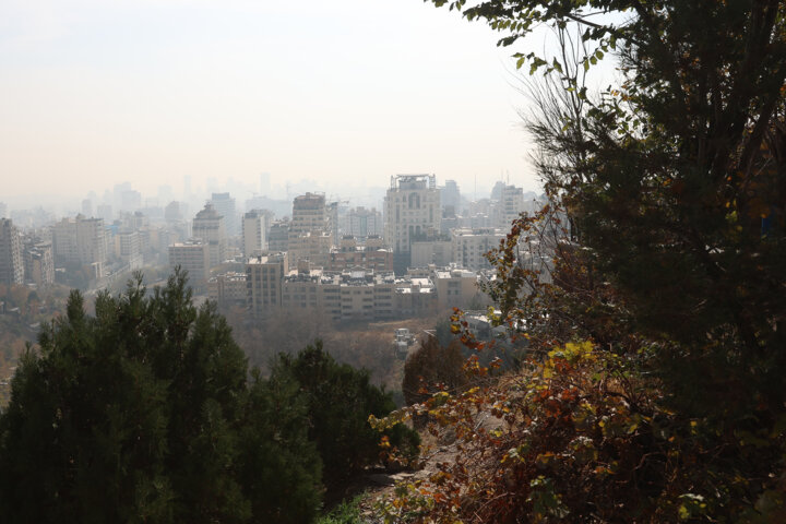 شیشه‌فروش: ۱۷ دستگاه اجرایی قرارگاه شبانه‌روزی آلودگی هوا تشکیل دهند