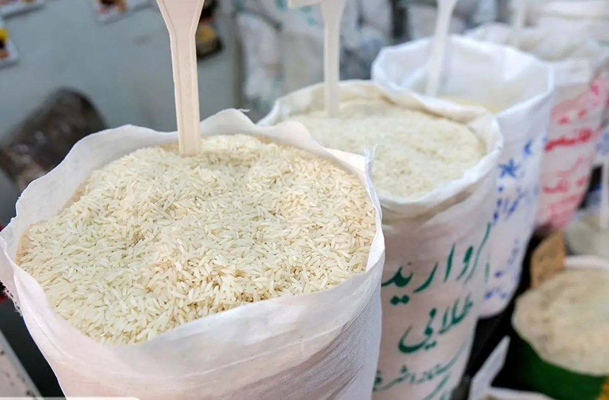 سازمان تعزیرات حکومتی: قیمت برنج در برخی استان‌ها به ۱۴۰ تا ۱۵۰ هزار تومان رسیده/ با اختیارات داده شده برای واردات، پیش‌بینی می‌شود این نرخ به ۱۰۰ تا ۱۲۰ هزار تومان کاهش یابد