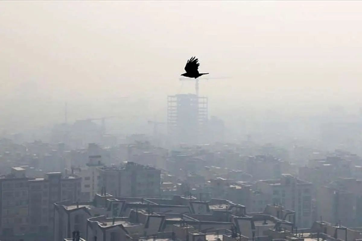 وضعیت آب و هوا، امروز ۱۴ دی ۱۴۰۴؛ افزایش تدریجی غلظت آلاینده‌ها در شهرهای پر جمعیت و صنعتی