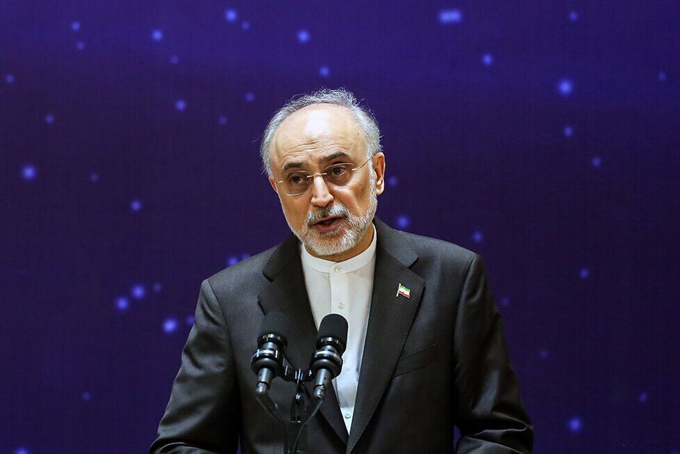 علی اکبر صالحی: بین آرمان‌های انقلاب و دستاوردهای آن فاصله وجود دارد